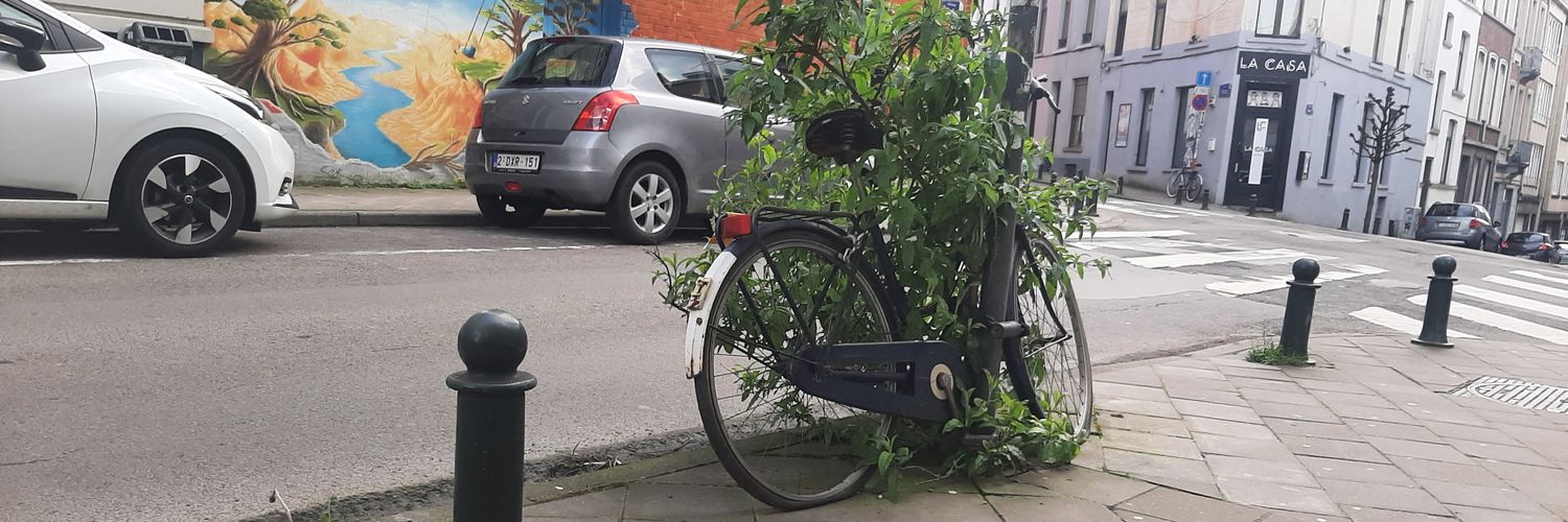 Bernardo Rodrigues banner