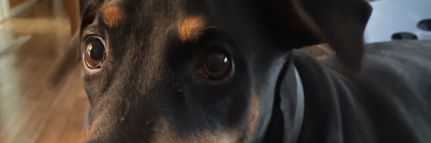 Johnny59er's profile banner image