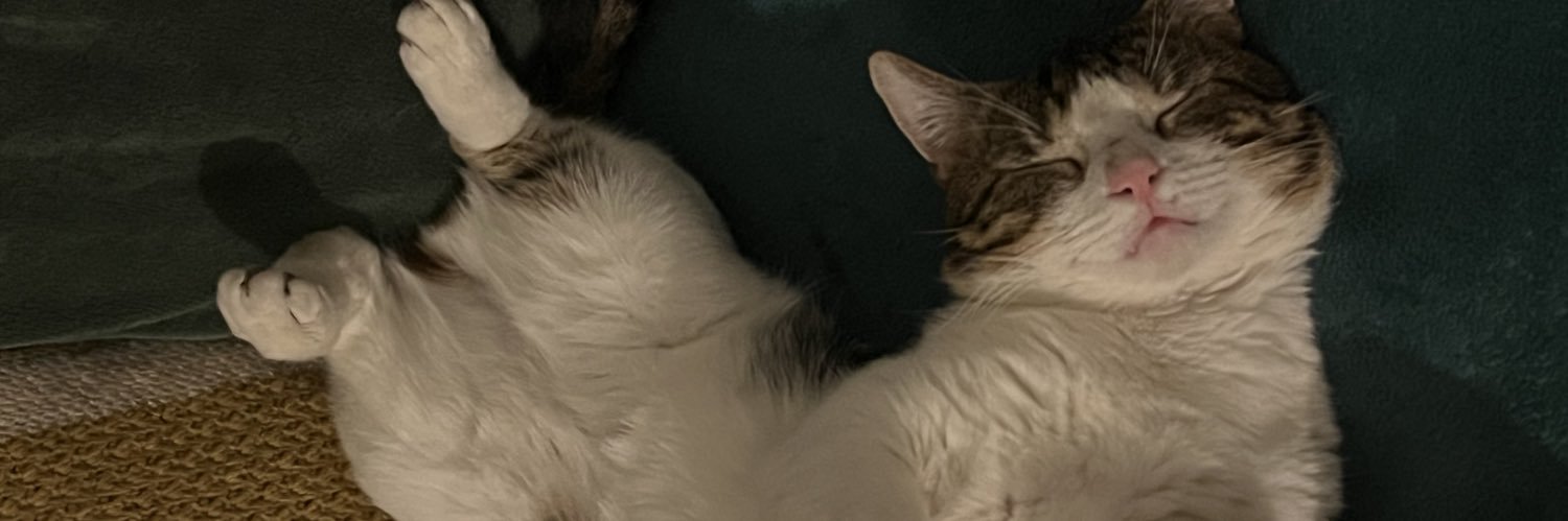 bradley_smith_'s profile banner image