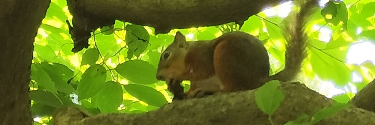 まき banner