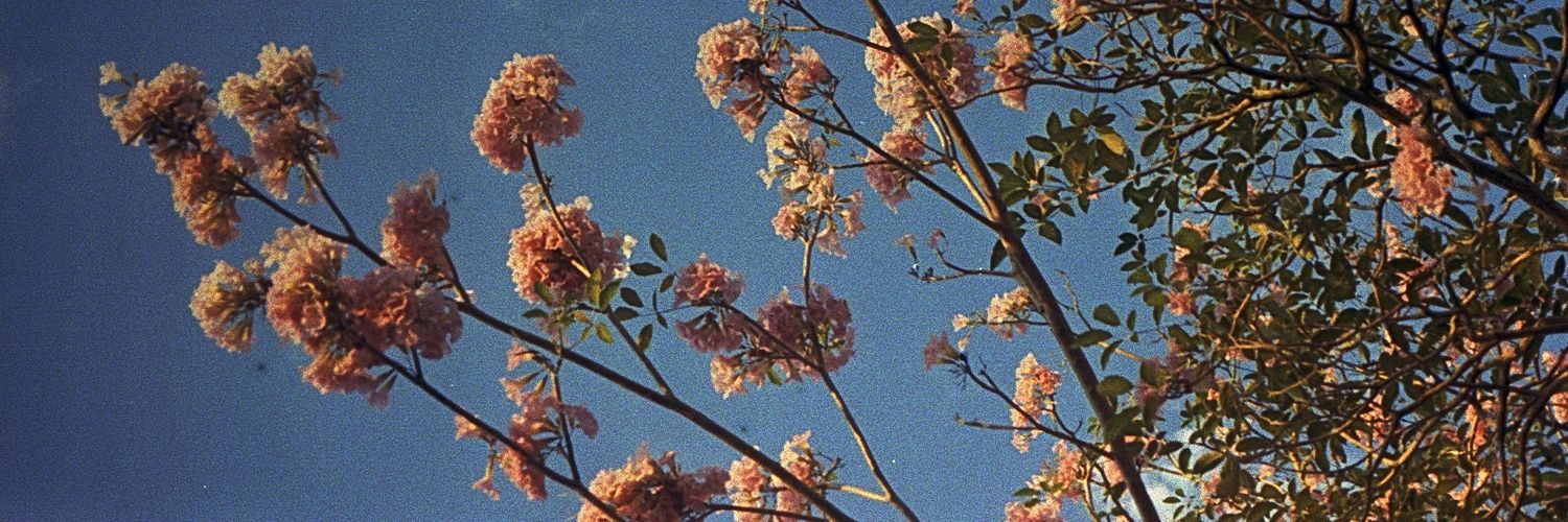 Gabs_Mitch24's profile banner image