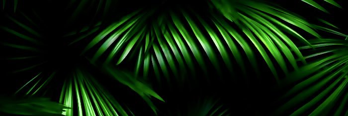 rap1016's profile banner image