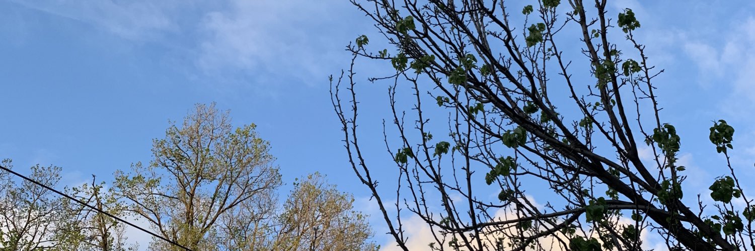 bridierc's profile banner image