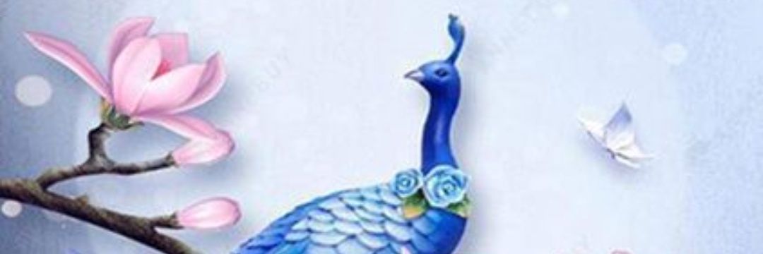 islolly's profile banner image