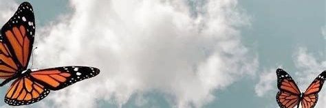 LulaOrzuza's profile banner image