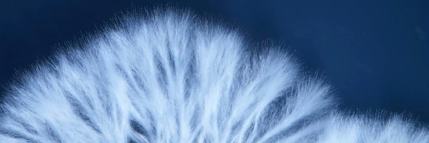 RBGECreative's profile banner image