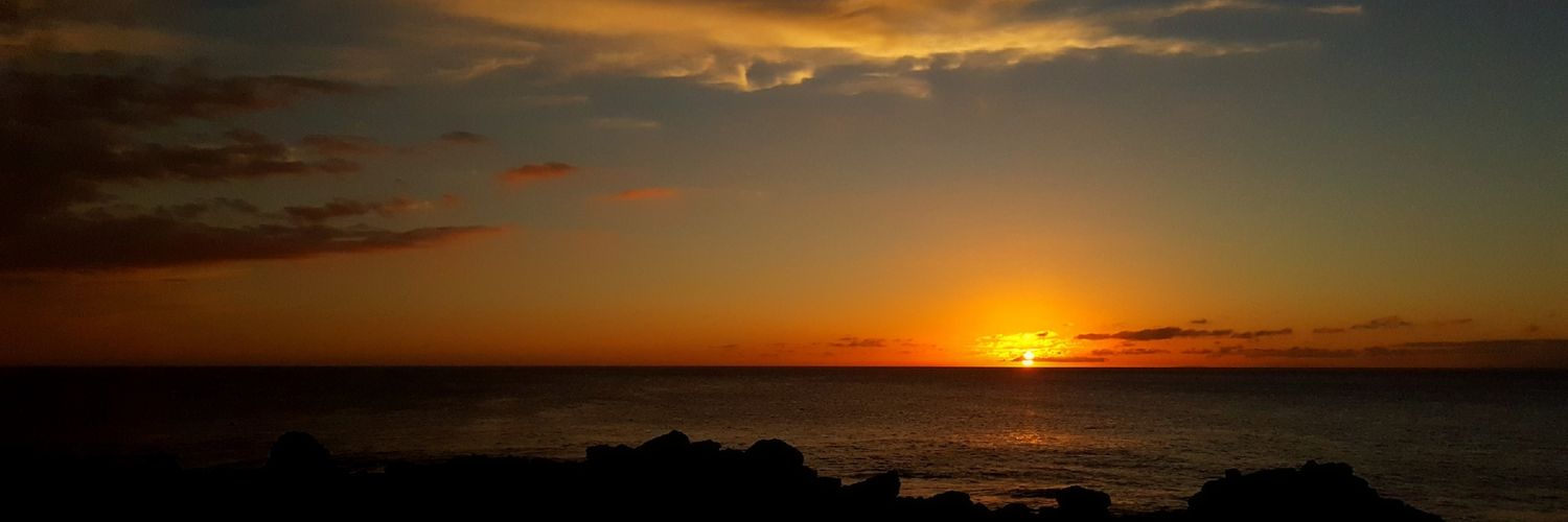 RoxAnthem's profile banner image