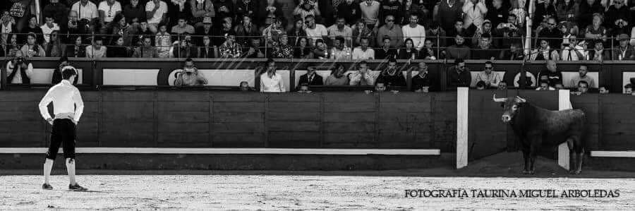Javi Daganzo banner