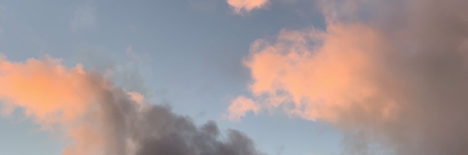 pilumsifferle's profile banner image