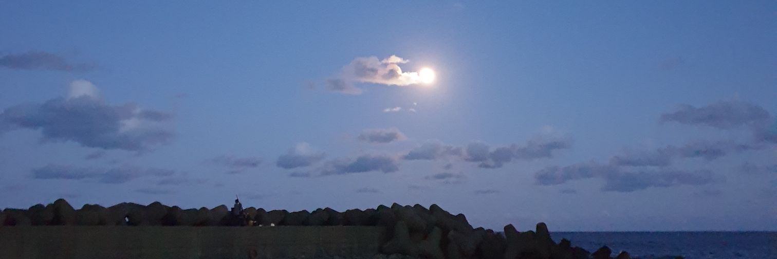 nirvana__3's profile banner image