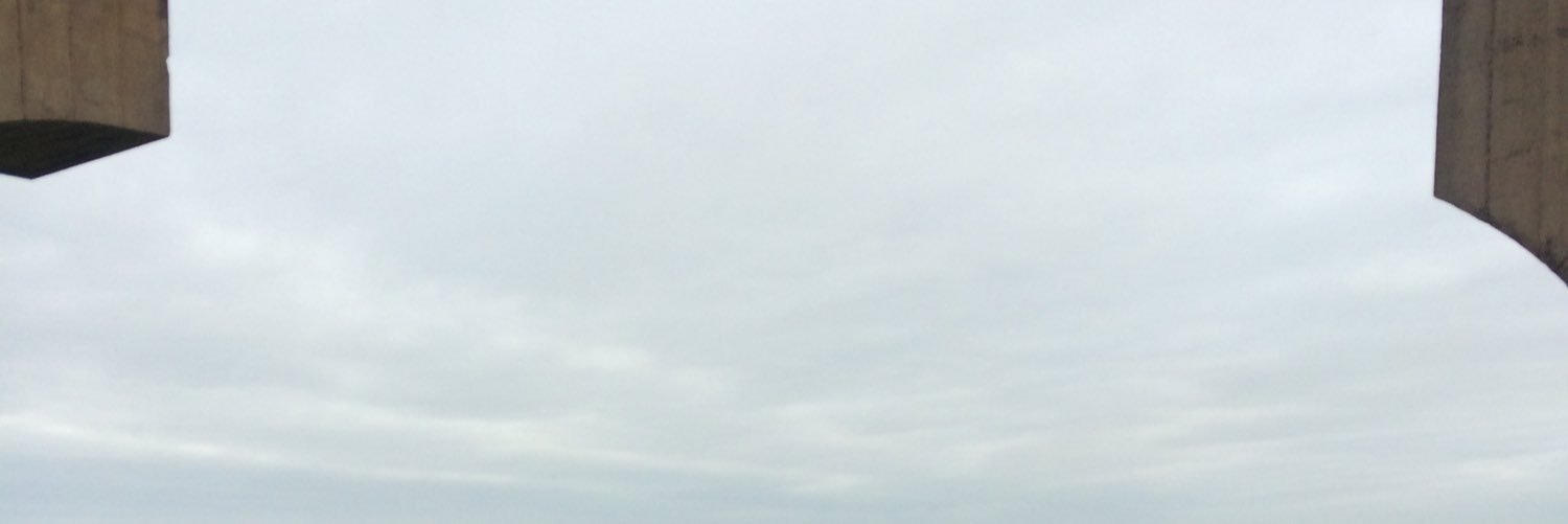 guiIIe_'s profile banner image