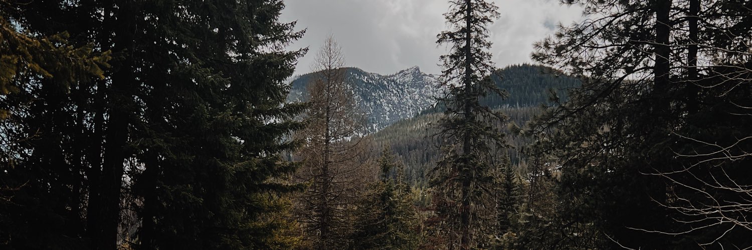 aholla08's profile banner image