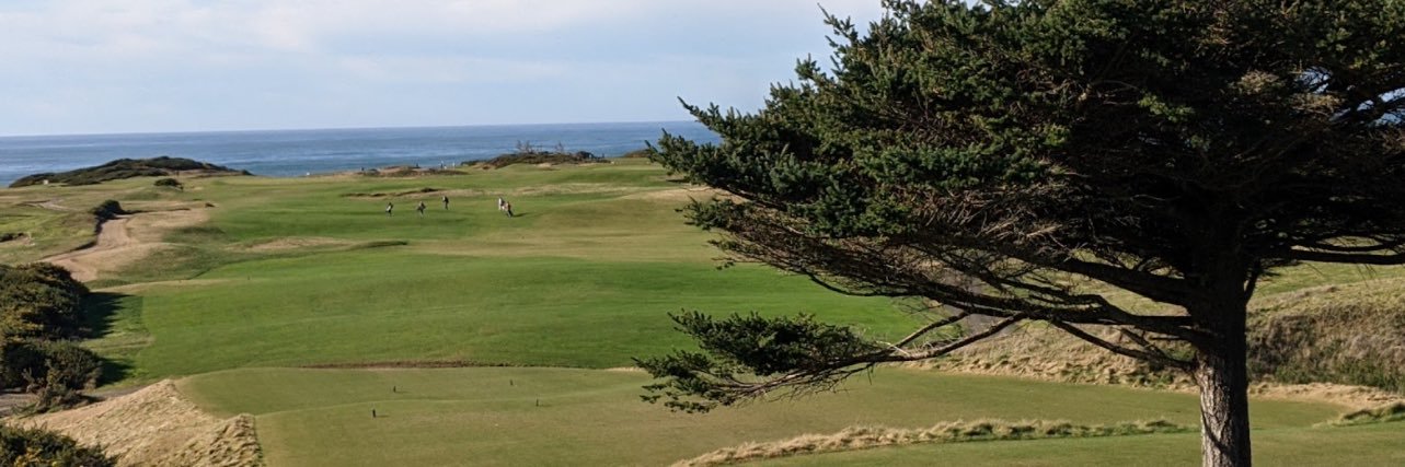 mnduckfever08 banner