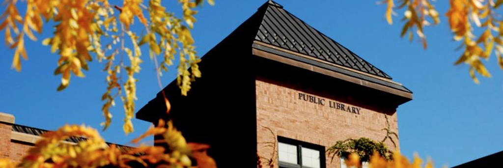 Saratoga Library banner