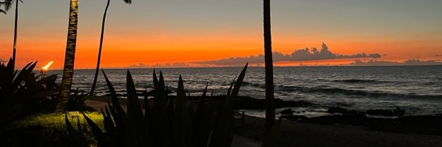 Tom Halterman banner