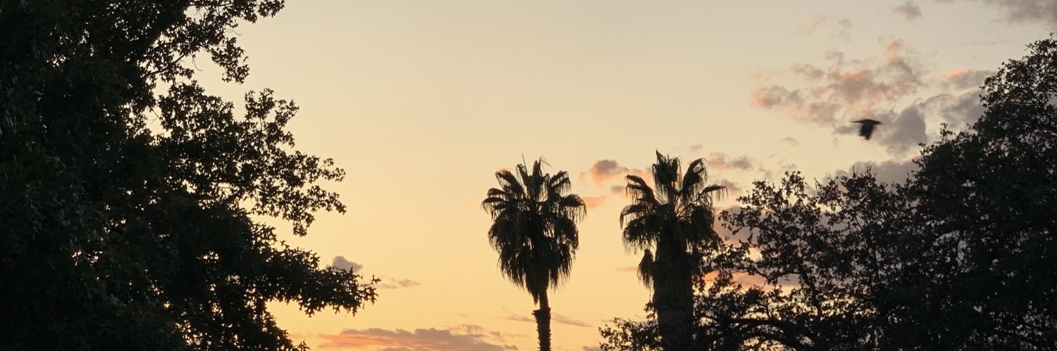 tannergroppi's profile banner image
