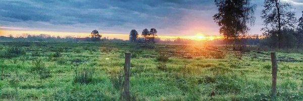 Rcotnie Profile Banner