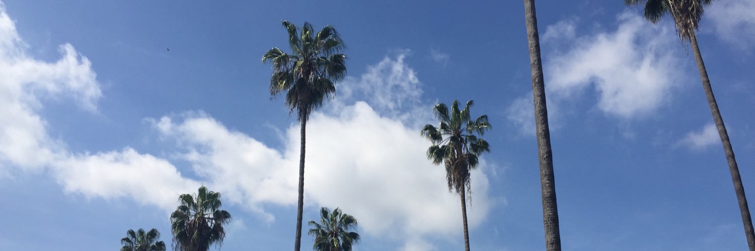 WomanYellowBlue's profile banner image