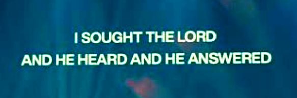 Cree-Angel Lespierre banner