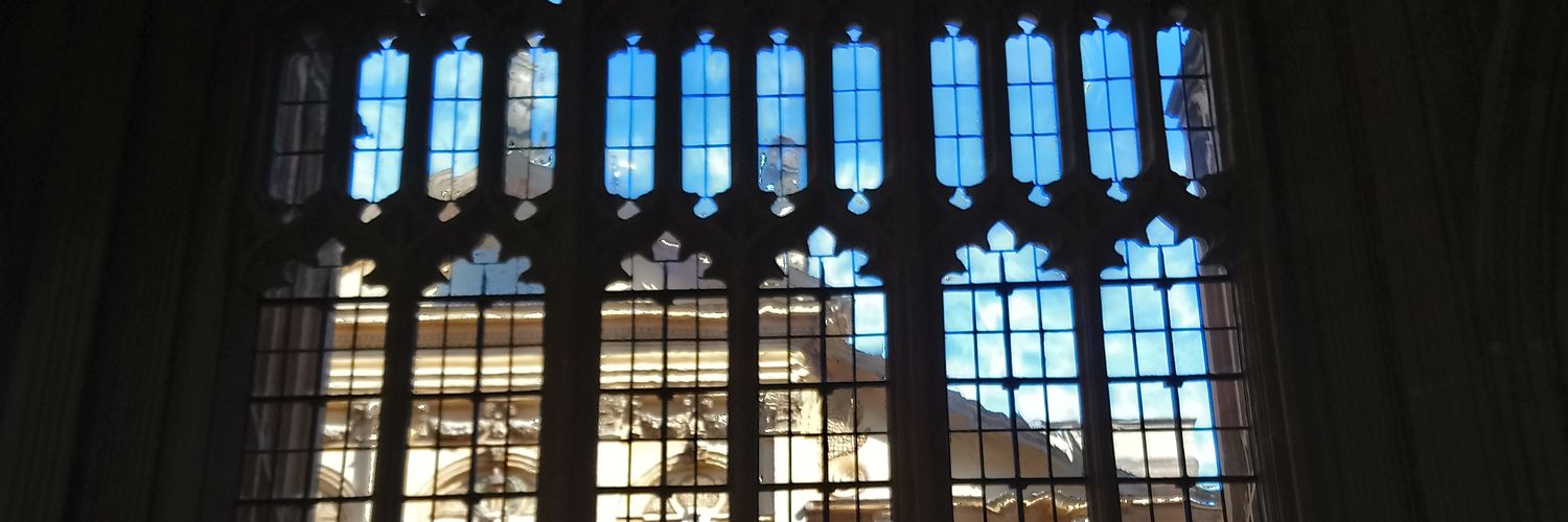 MedievalWitch44's profile banner image