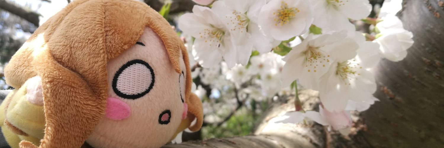 non_bear's profile banner image