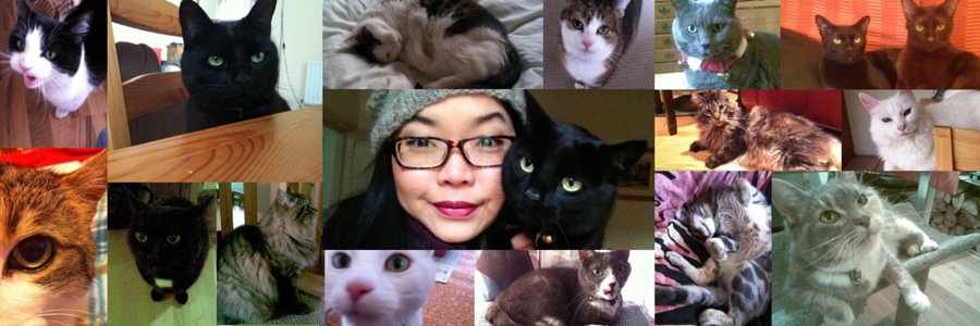 maowcare's profile banner image