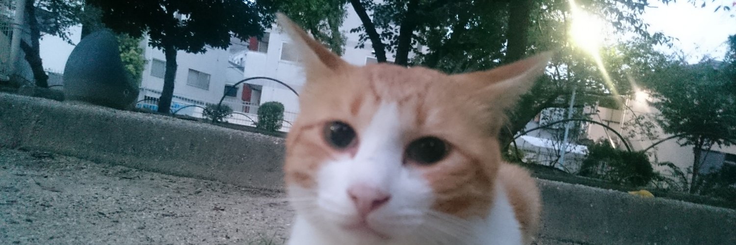 gen_triy's profile banner image
