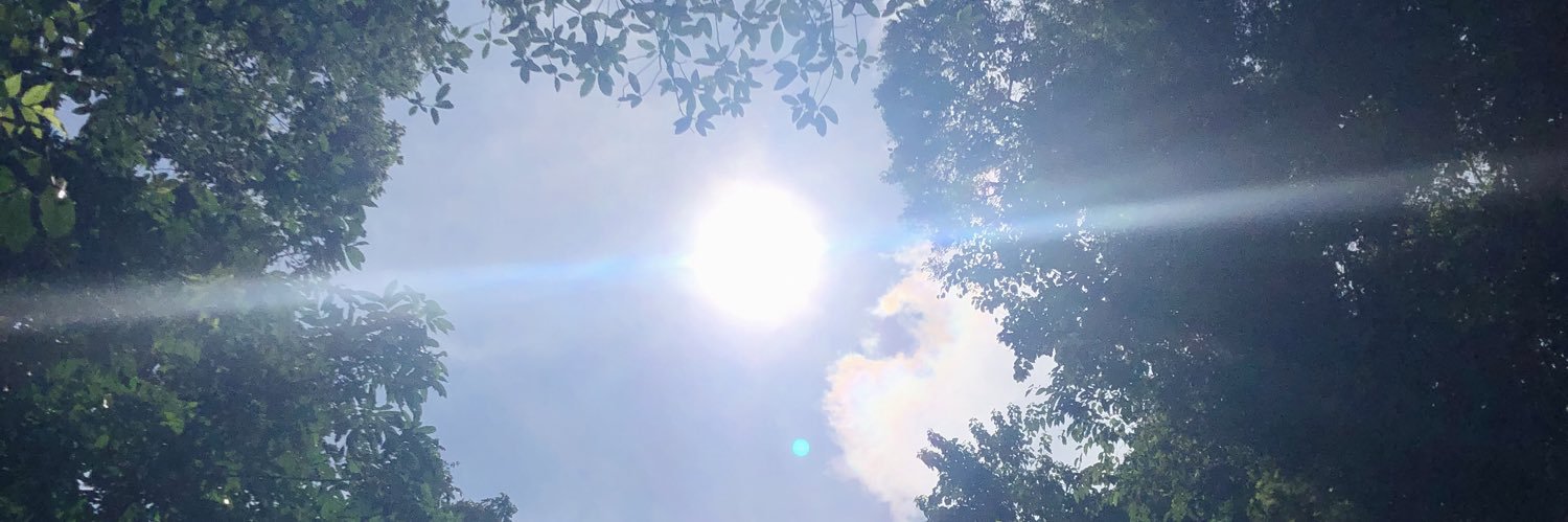 biatrisknp's profile banner image
