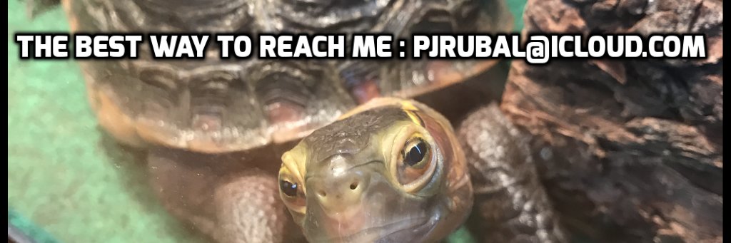 PJRubal's profile banner image
