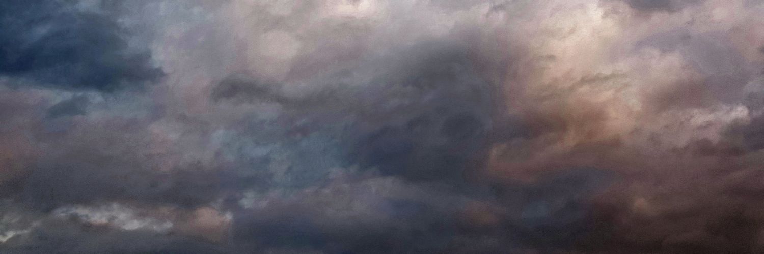 nikolettr_'s profile banner image