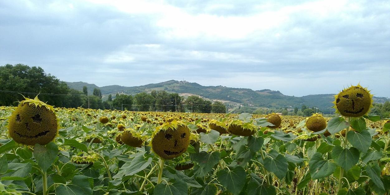 Marco Magheri banner