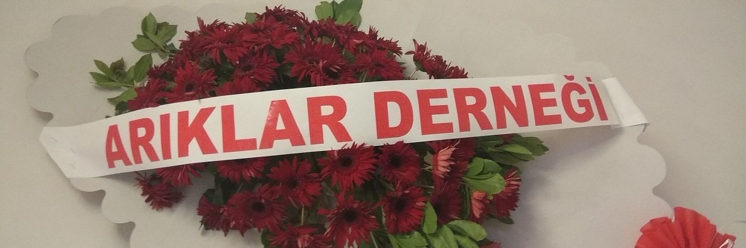 namerecep's profile banner image