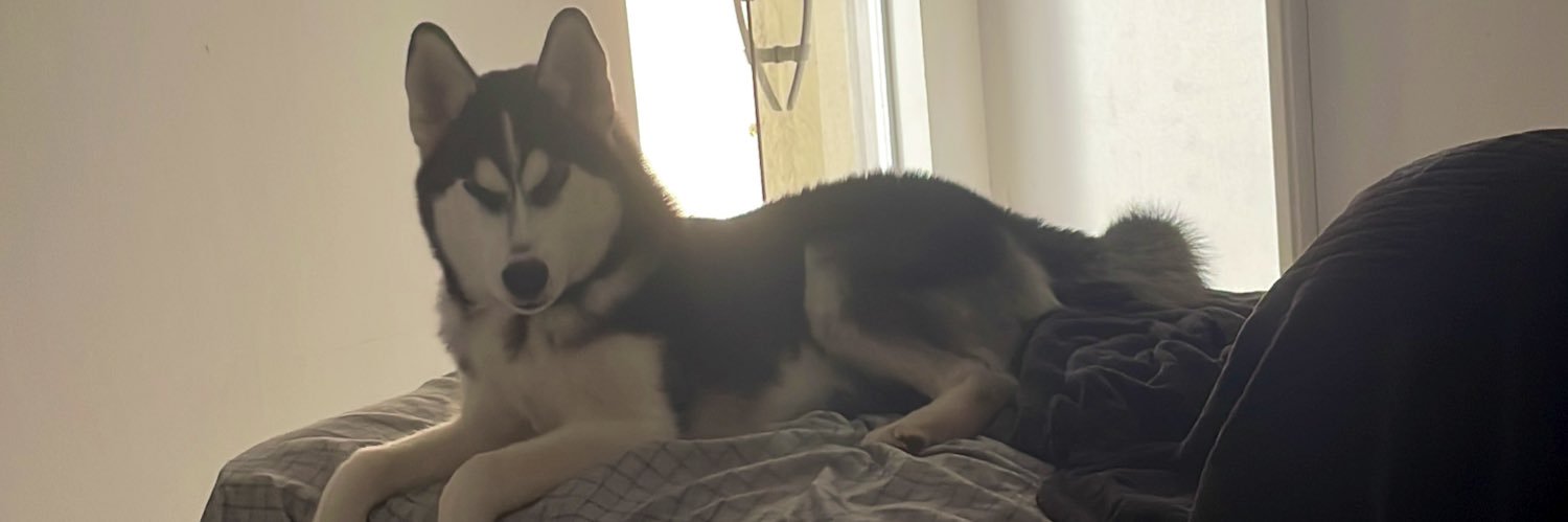 felipehms_'s profile banner image