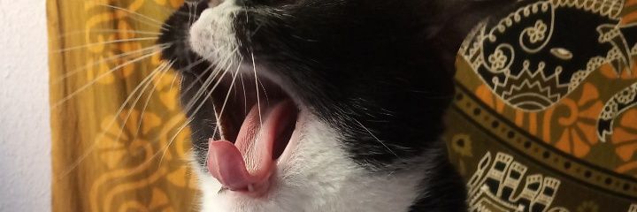 Almudenasm15's profile banner image
