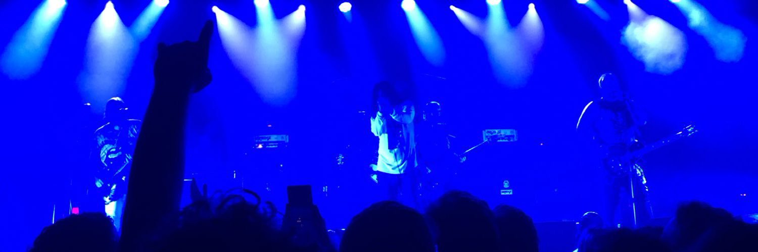 Janos Skorzeny banner