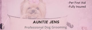 JennieTeRata's profile banner image