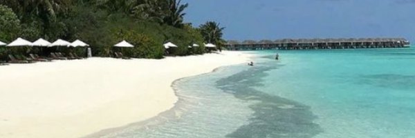 DomHiggs Profile Banner