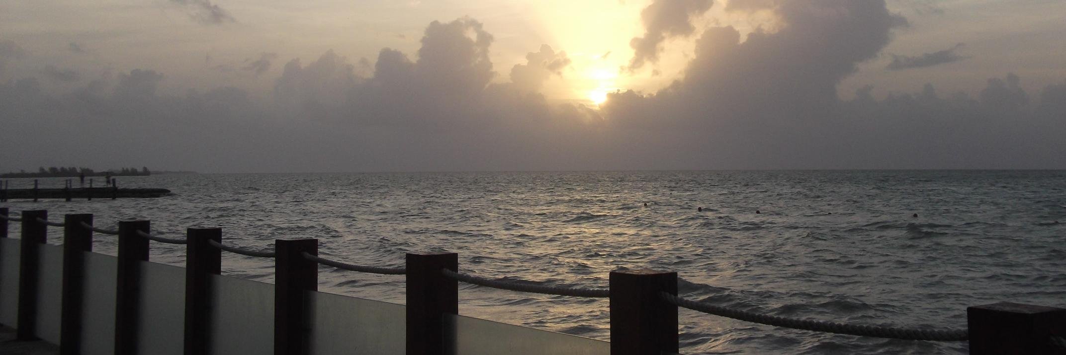 JulianaRodger's profile banner image