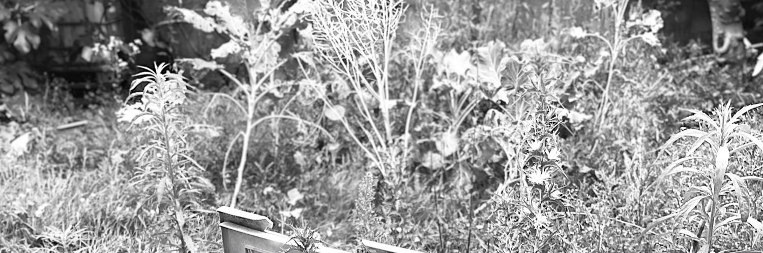 MooDenise's profile banner image