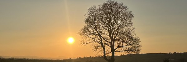 WeeBoycie1 Profile Banner