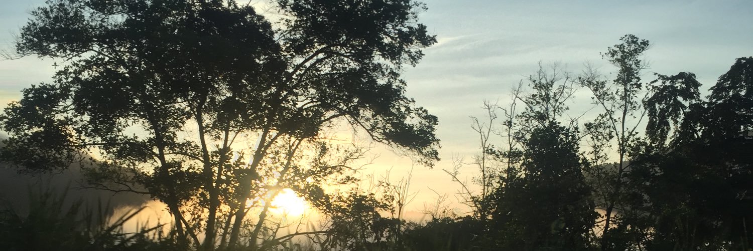 ahiaruz's profile banner image