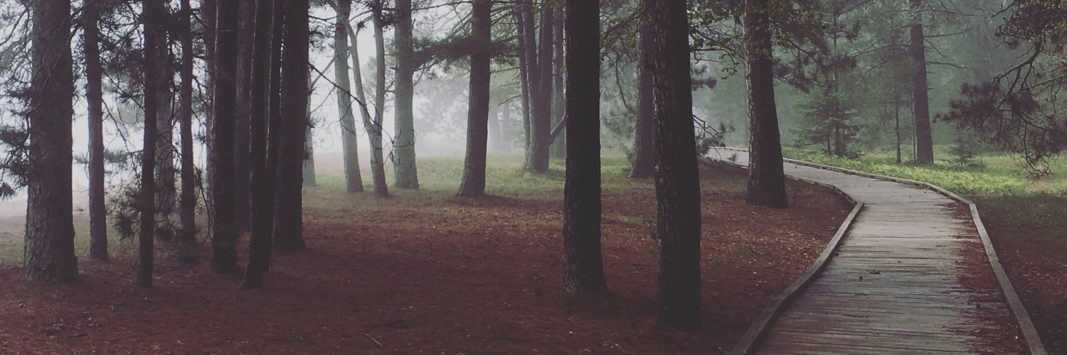 Emily Heying, PhD, RD banner