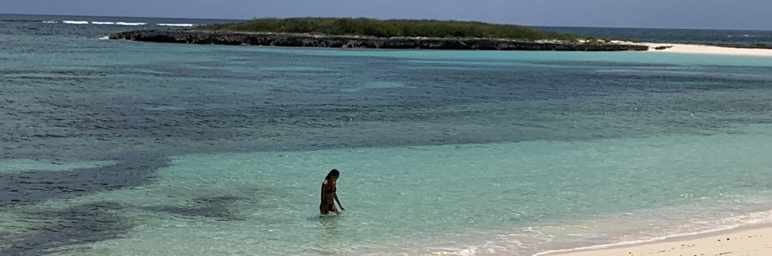 Aurélie Wulff banner