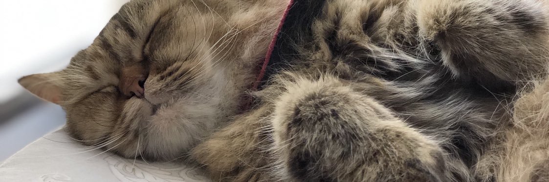 AbuMushy's profile banner image