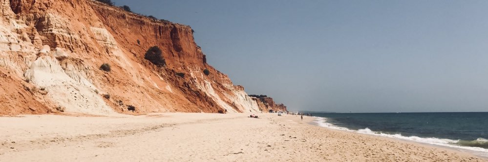 Lidia banner