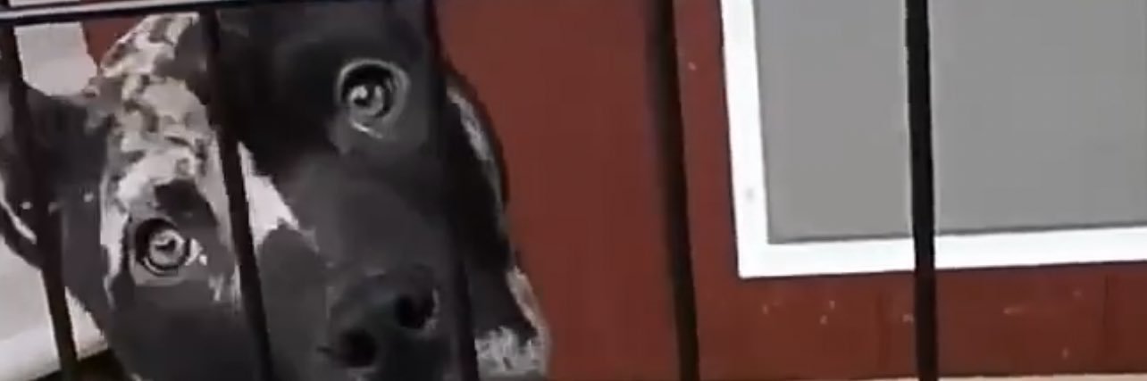 _Bitxch_'s profile banner image