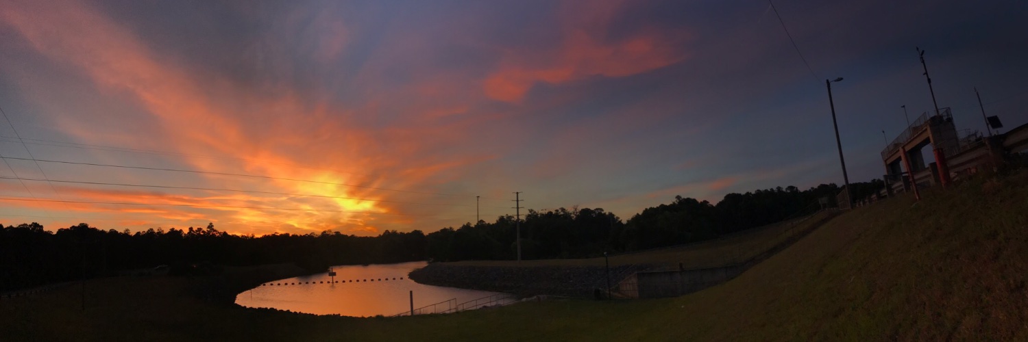 melaniese7's profile banner image