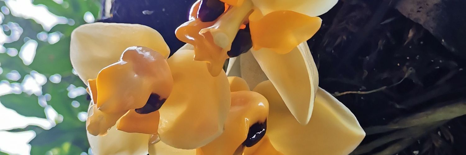 CS_JEFF's profile banner image