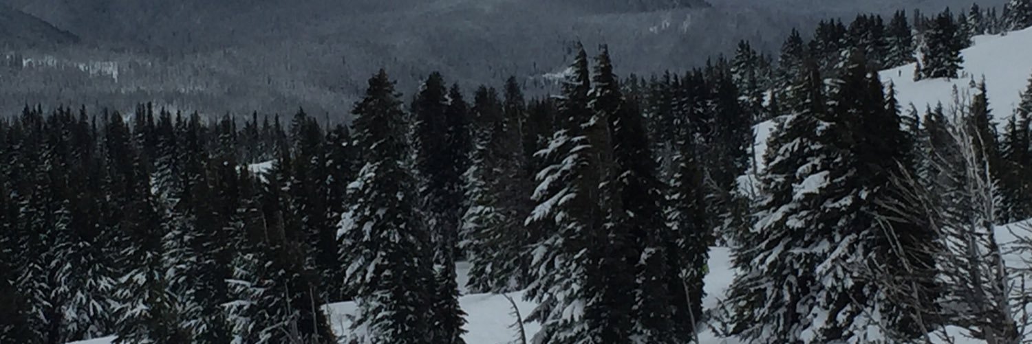 shuffman14's profile banner image