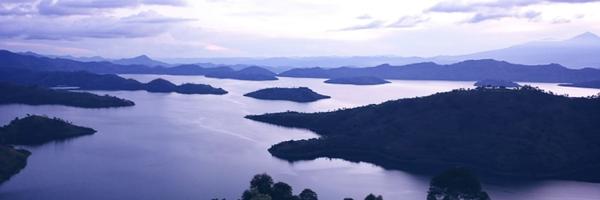 bnigne Profile Banner